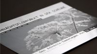 Printmedien: Flyer